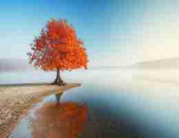 反‍向‌链​接‍数‍量​